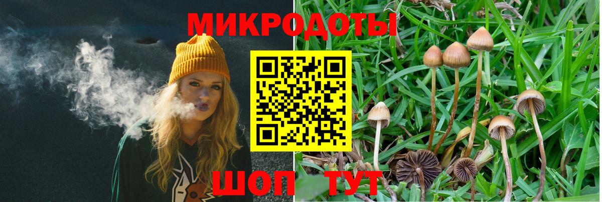 как найти закладки  Вход с VPN  Павловский Посад  Галлюциногенные грибы Cubensis  Псилоцибиновые грибы мухоморы 
